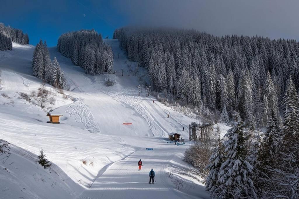 Le Relai S31 - Grand Et Lumineux Studio Avec Coin Montagne 4-6 Pers, Tout Equipe, Avec Wifi, A 30M Des Pistes Avec Un Grand Balcon, Draps Non Compris Saint-Jean-dʼAulps Zewnętrze zdjęcie